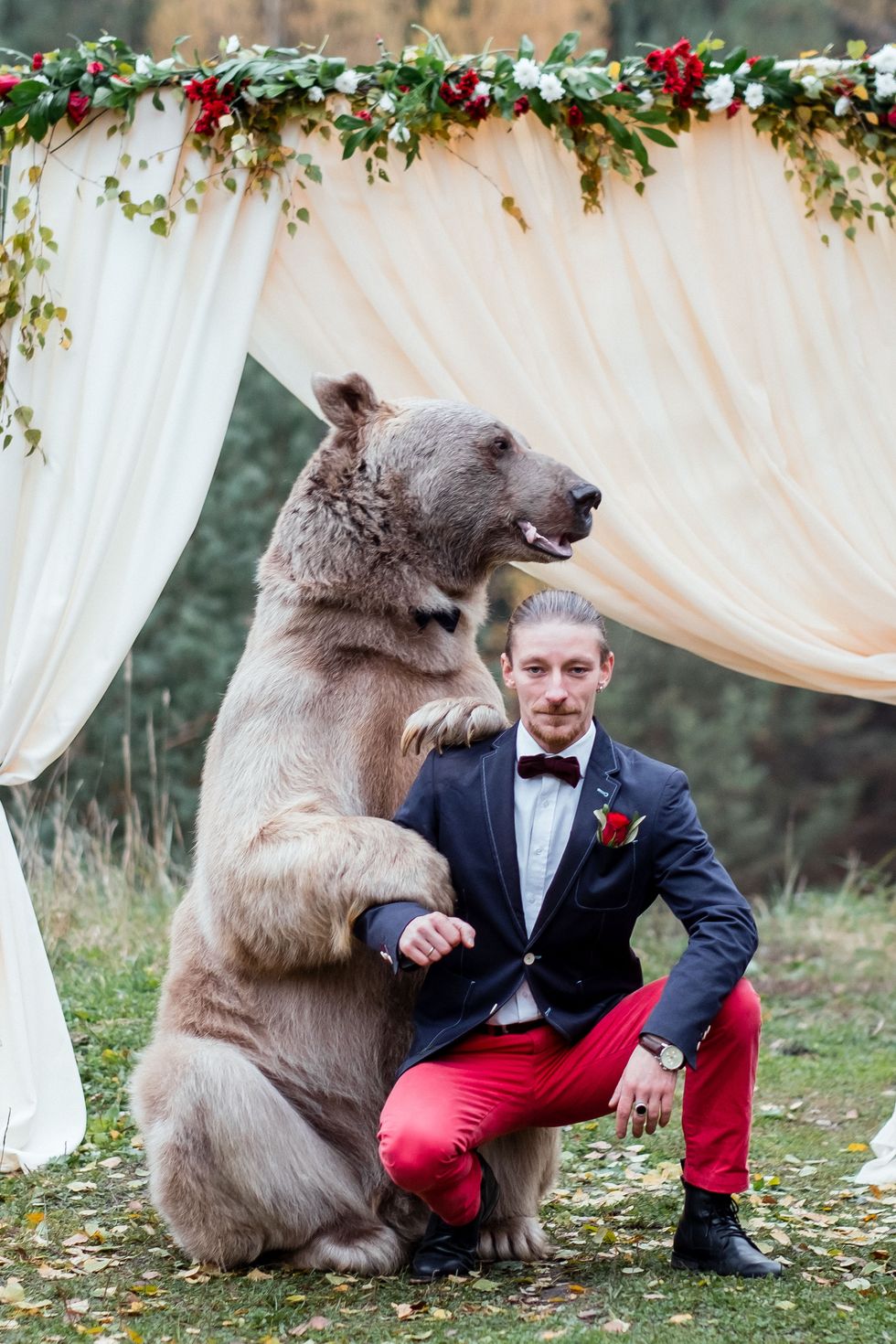 Russian Couple Gets Married by Bear - Why That's Not OK