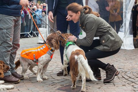 kate middleton keswick dogs The Duke And Duchess Of Cambridge Visit Cumbria
