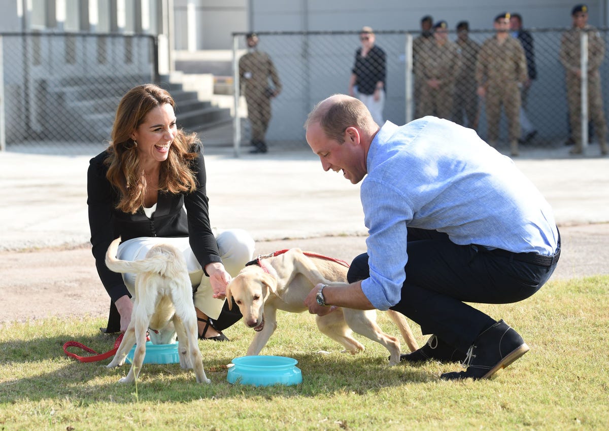 Prince William says his dog sleeps on his bed with him and Kate