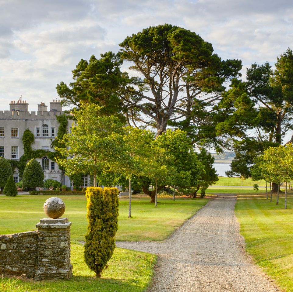 ireland’s glin castle\, owned by landscape designer catherine fitzgerald exterior, approach to glin castle cockspur thorn trees, monterey pine mulberry tree