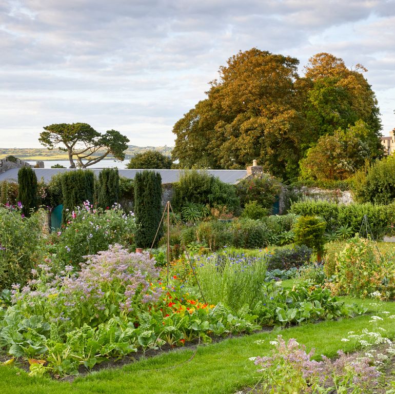 the walled garden at ireland glin castle owned by landscape designer catherine fitzgerald