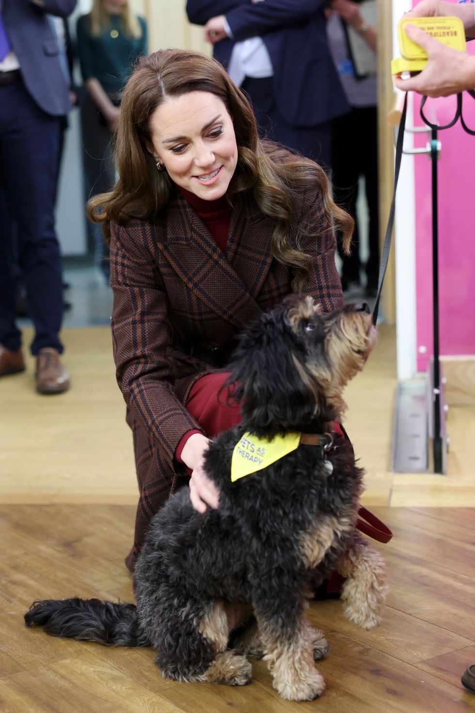 the princess of wales visits the royal marsden hospital