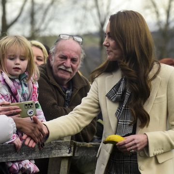 the princess of wales visits south wales