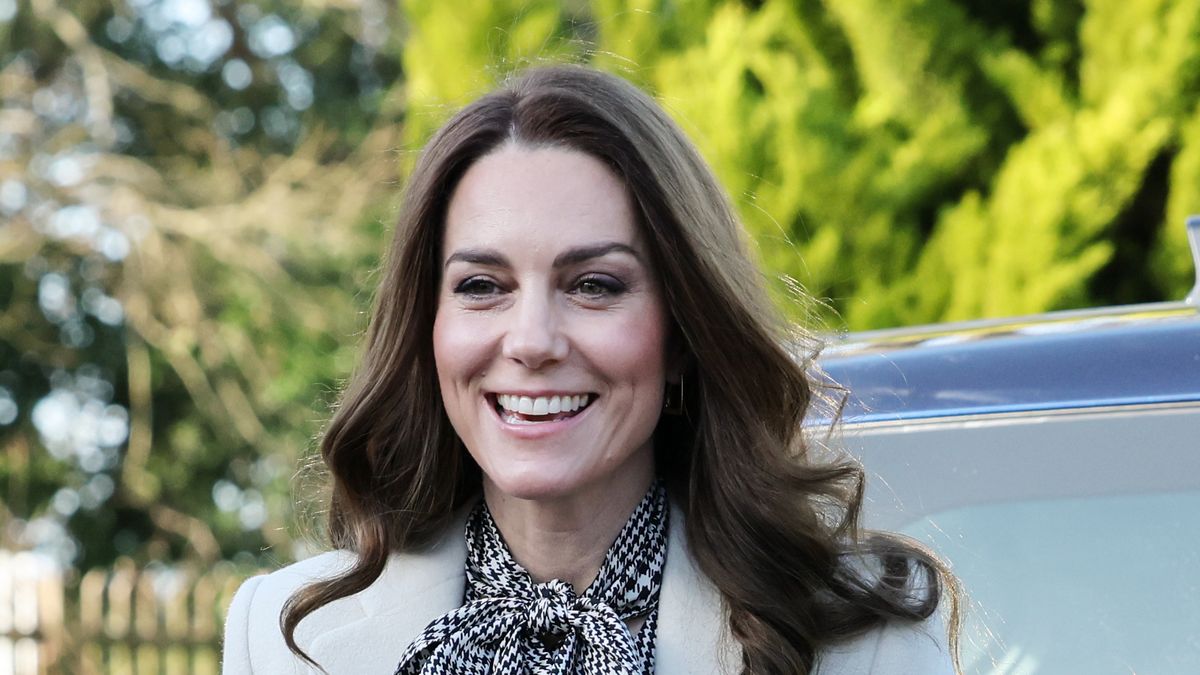 the princess of wales visits south wales