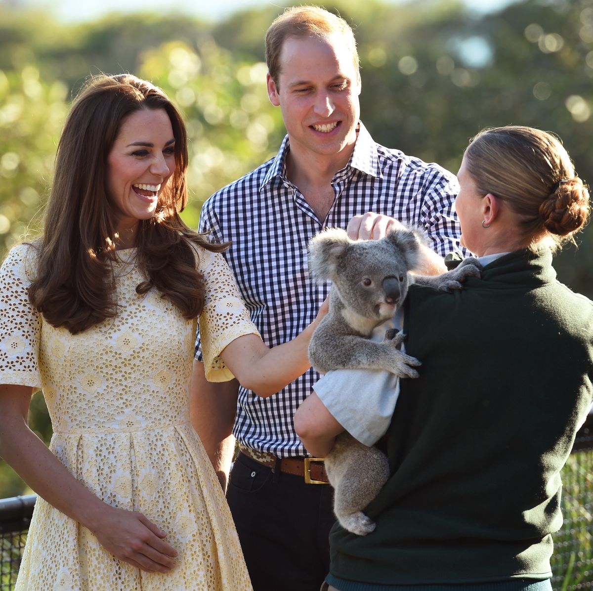prince william kate middleton australia day koala