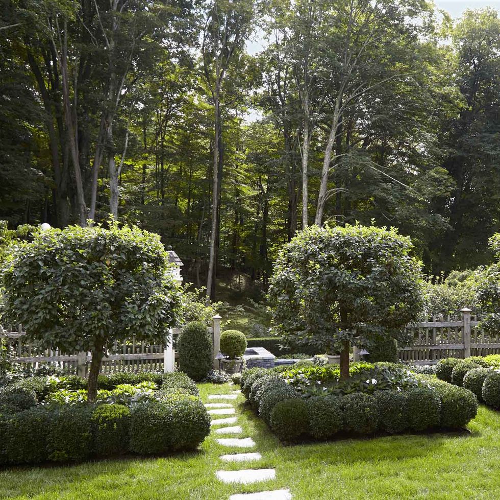 a parterre garden is planted with crab apple trees, dwarf boxwood, and new guinea impatiens each tree has a square border for a uniform look