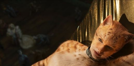 The 25 most iconic movie cats