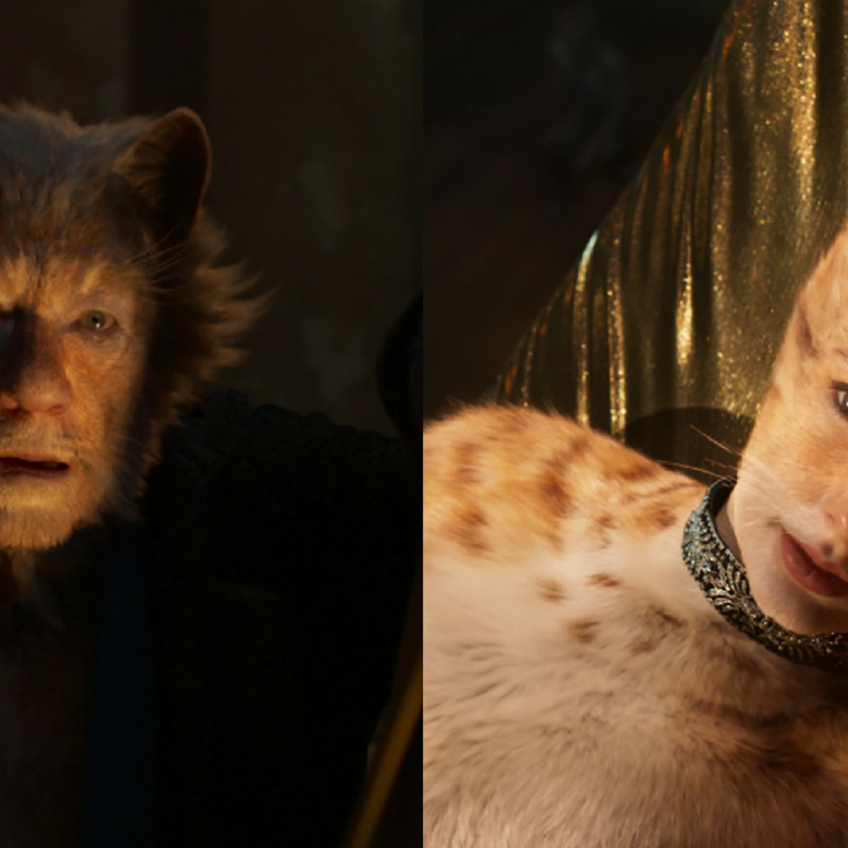 Best Cats Trailer Reactions - The Internet'S Best Memes About The Cats  Movie With Taylor Swift