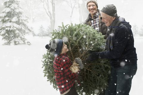 caucasian family carrying christmas tree through the snow