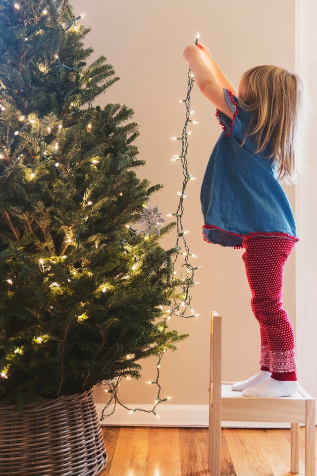 Putting christmas deals lights on tree