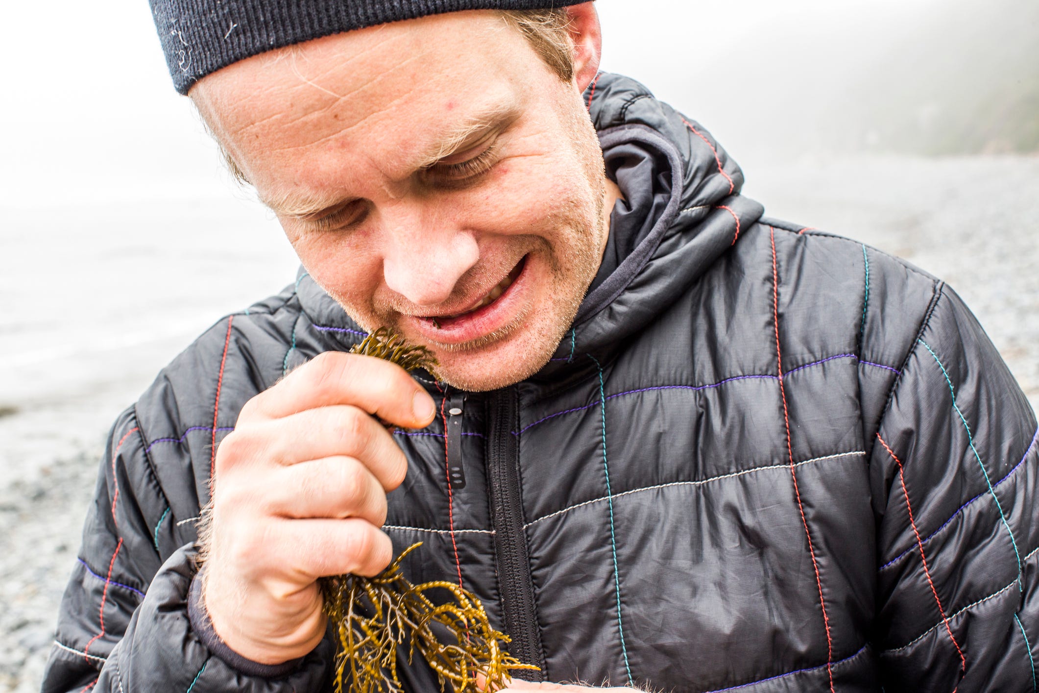 Irish Sea Moss Is the Popular Supplement You Definitely Don’t Need