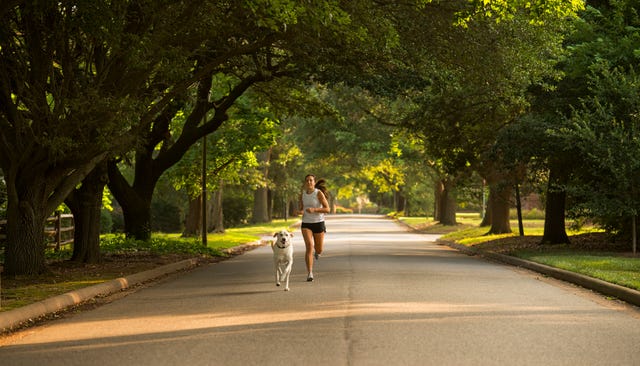 New Minneapolis Running Club Pairs Joggers with Canines