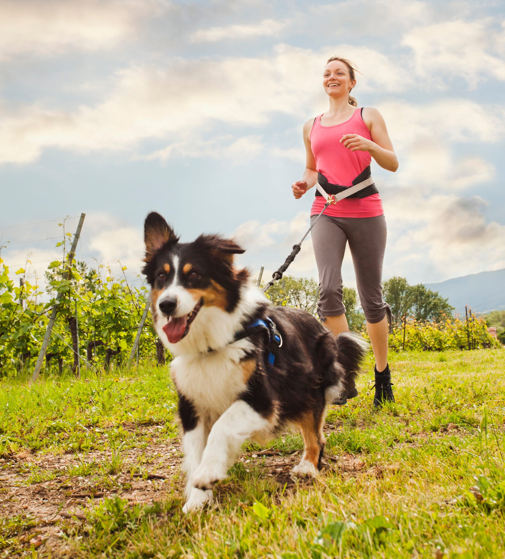 what is the best dog for jogging with