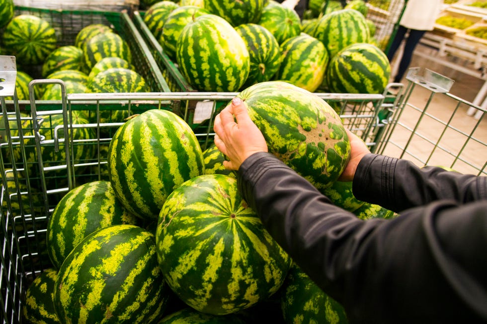 7 Rules To Follow When Buying Watermelon — How To Pick The Best Watermelon