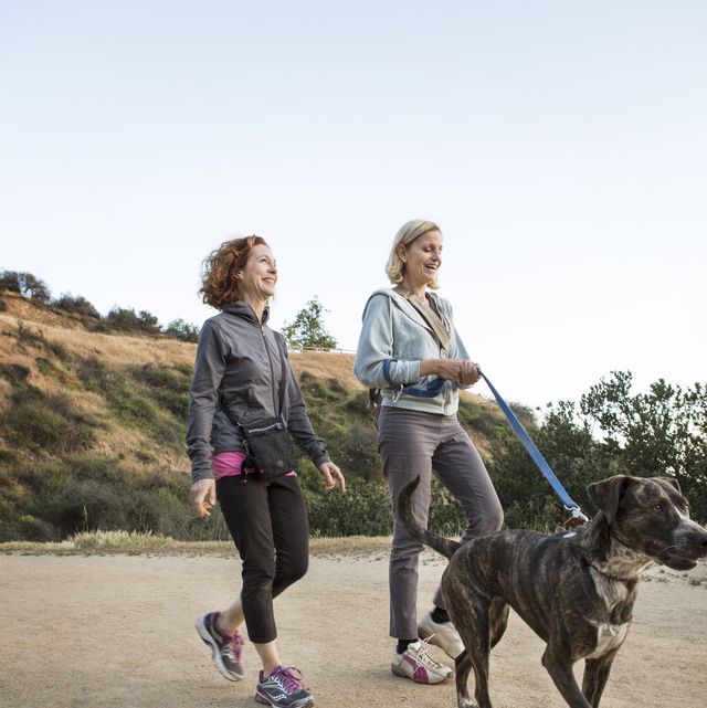 walking to prevent knee pain in those with arthritis