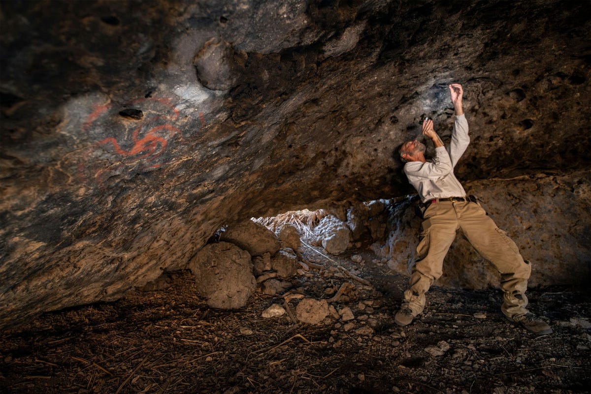Jon Picciuolo lid van het onderzoekteam documenteert de quids proppen van tot brei gekauwd plantenmateriaal die eeuwen geleden in spleten in het plafond van de ZuidCalifornische Pinwheel Cave zijn geduwd De naam Pinwheel Cave is ontleend aan de afbeelding van het windmolentje dat links op de foto is te zien