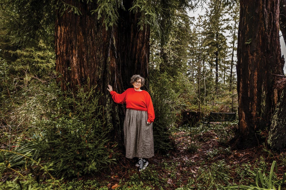 alta journal issue 31, california book club, the last fire season by manjula martin