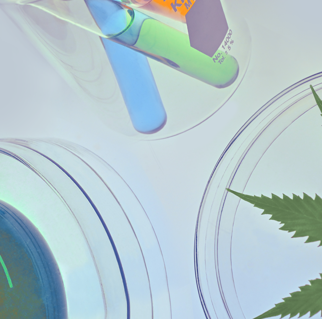 tbh weed background