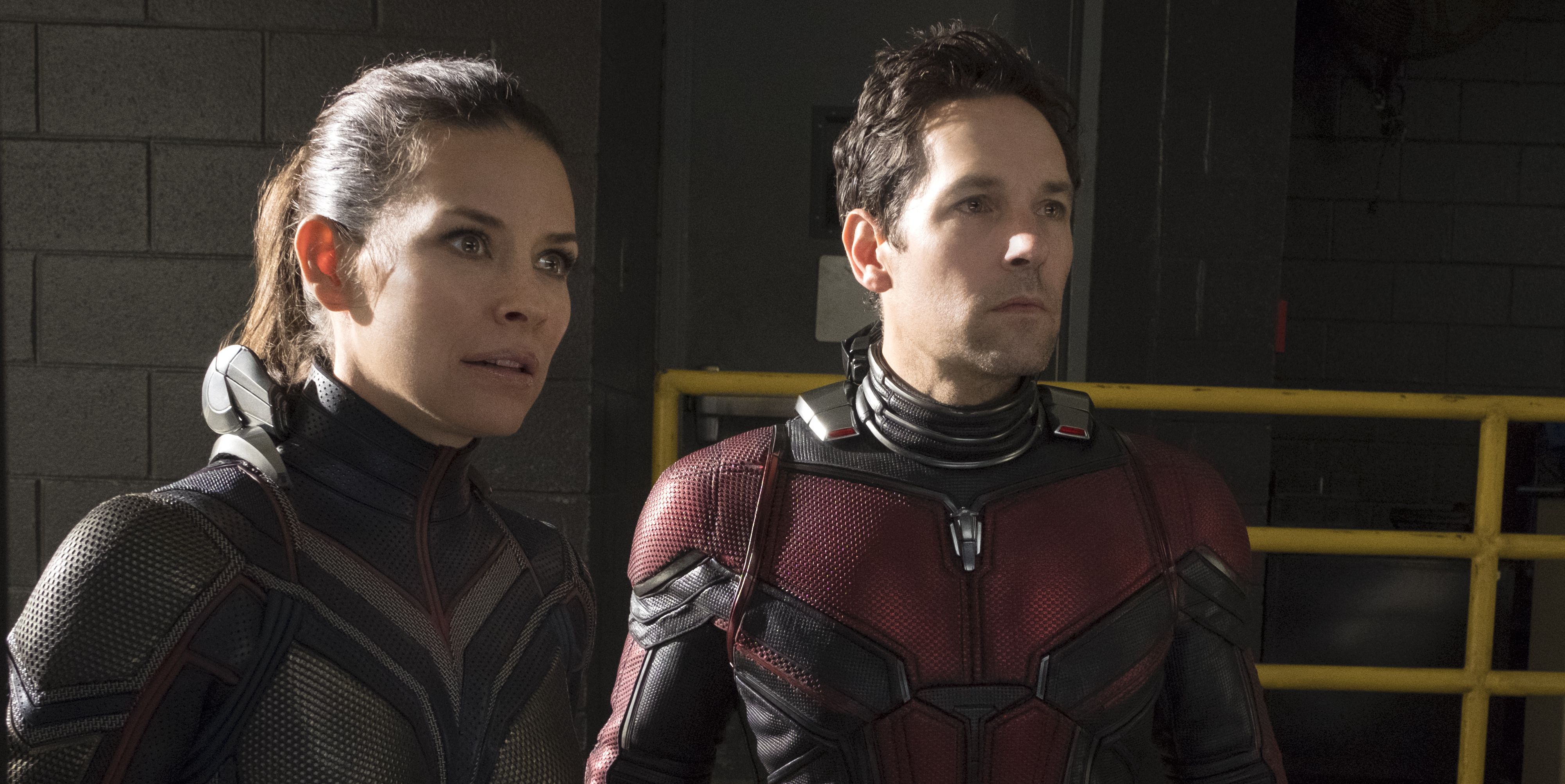 A Quantum Realm Guide for After 'Ant-Man and the Wasp' – The Hollywood  Reporter