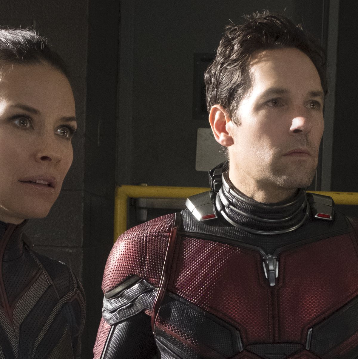 Ant-Man and the Wasp: Quantumania theories and questions - Polygon