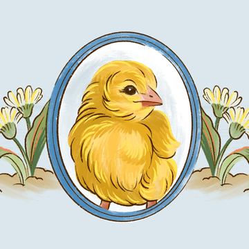 illustration of a yellow chick with flowers