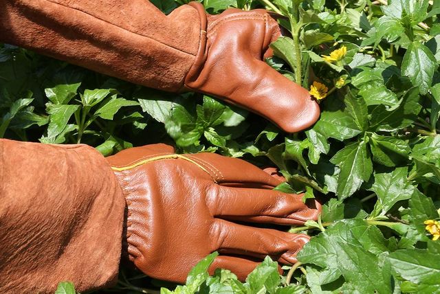 ccbetter gardening gloves