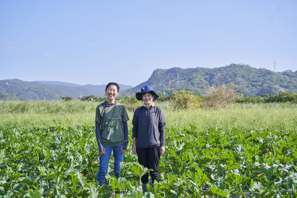 two men standing in a field of plants