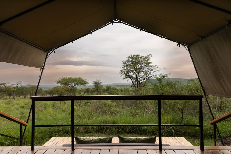 watching the serengeti sunrise from inside my canvas tent at dunia camp