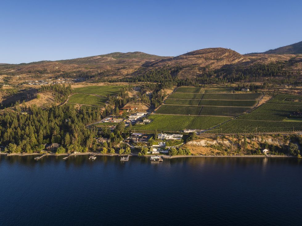 an aerial view of ﻿cedarcreek winery