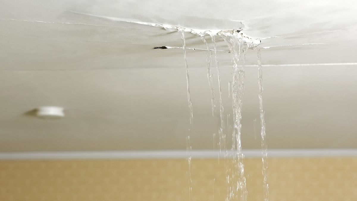 Flood And Water Damage