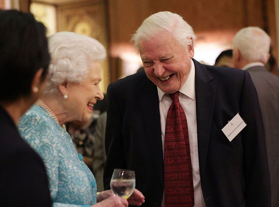 london, england   november 15  queen elizabeth ii and sir david  attenborough attend a reception to showcase forestry projects that have been dedicated to the new conservation initiative the queens commonwealth canopy qcc at buckingham palace on november 15, 2016 in london, england  photo by yui mok   wpa poolgetty images