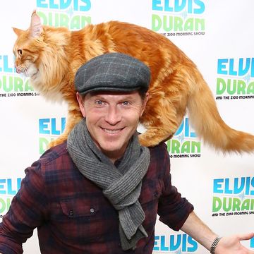 https://hips.hearstapps.com/hmg-prod/images/celebrity-chef-bobby-flay-and-his-cat-nacho-flay-visit-the-news-photo-1697559539.jpg?crop=0.578xw:0.401xh;0.246xw,0.0520xh&resize=360:*