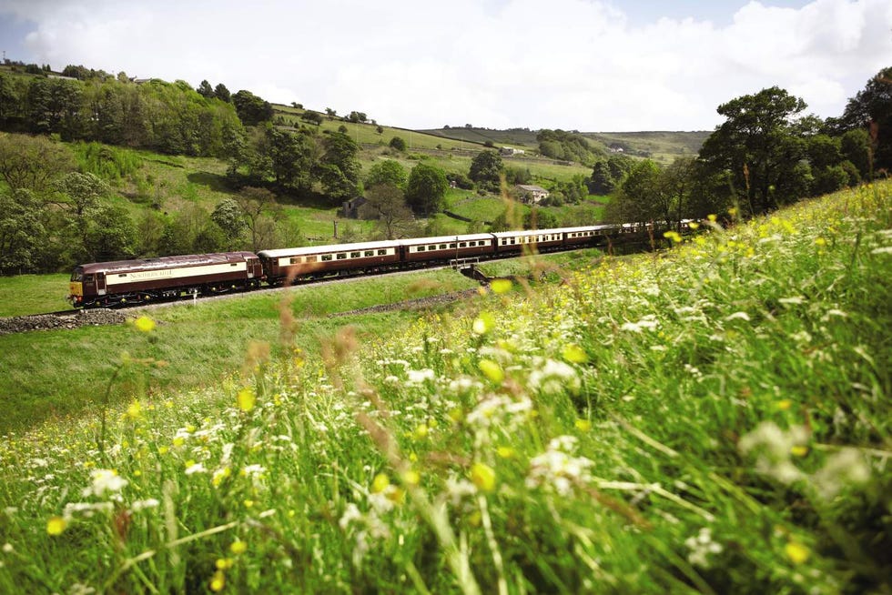 steam train traveling through a picturesque green landscape