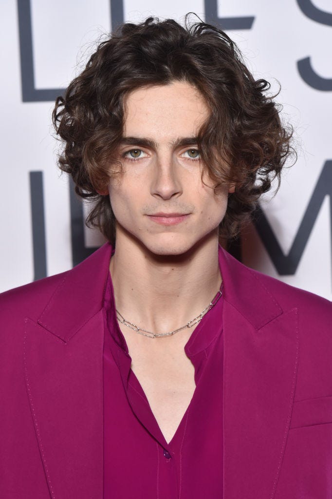 Timothée Chalamet To Play Willy Wonka In New Origin Tale timothée chalamet to play willy wonka in new origin tale
