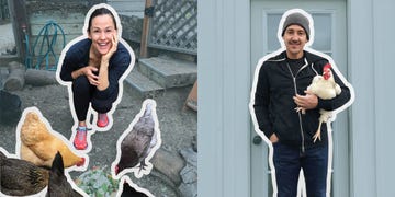 jennifer garner and jonathan knight with pet chickens