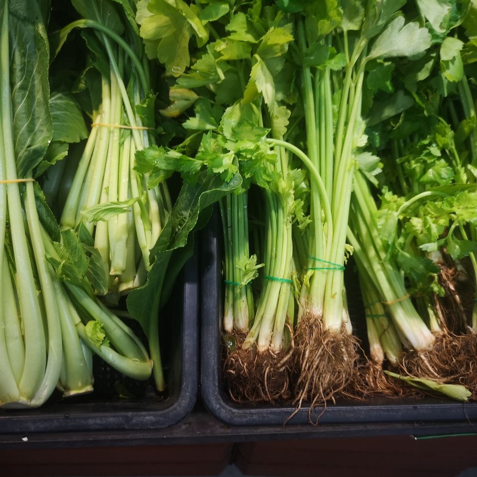 celery scallions