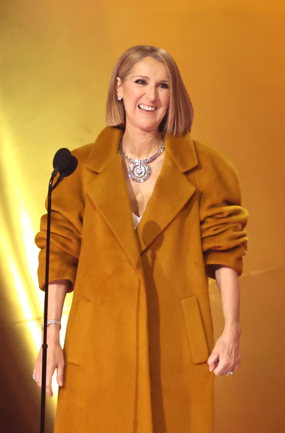 Céline Dion Makes Surprise Appearance at 2024 Grammys
