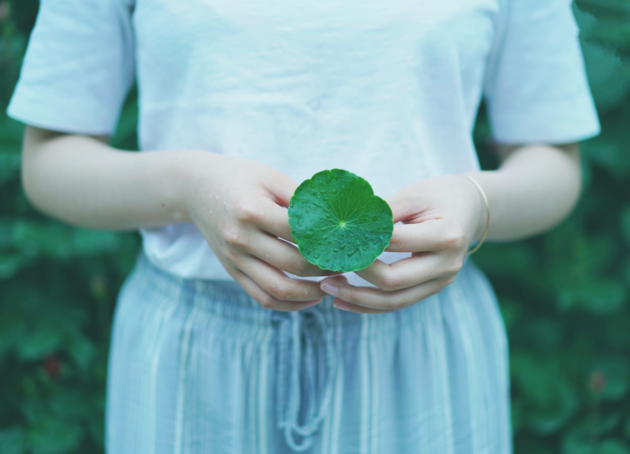 Green hand. Hand holds Green leaves on Sphere. Girls hand Leaf.