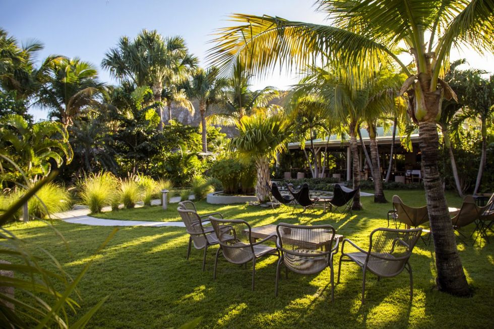 a group of chairs and tables in a grassy area with palm trees