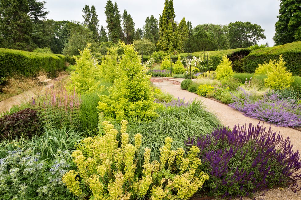 The Centenary Garden in Exbury, a secret garden hiding rhododendrons