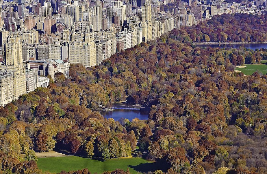 Central Park a New York è un parco unico al mondo