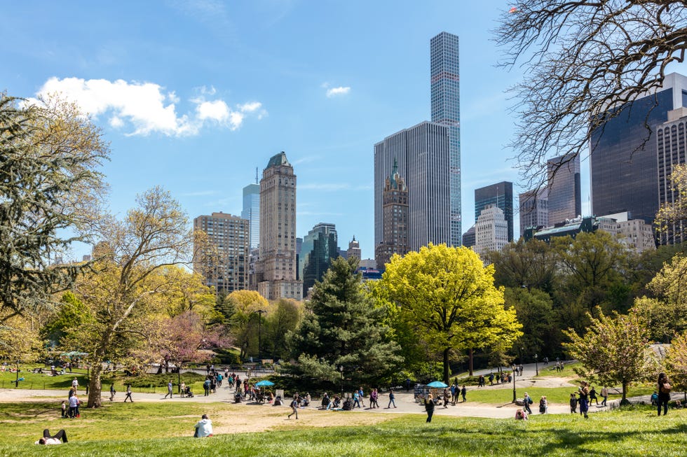 best cities in the world, new york