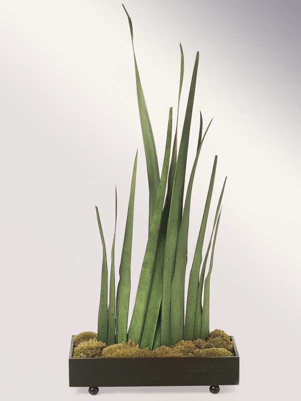 centro de mesa con musgo y hojas de yuca
