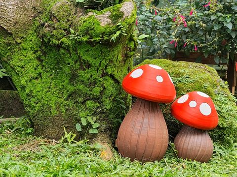 ceramic garden ornaments in the shape of mushrooms