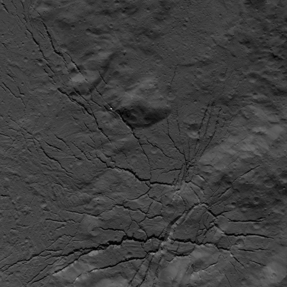 Op 26 juli 2018 bracht de NASAsondeDawnvanaf een hoogte van 152 kilometer dit netwerk van breuken in de bodem van de krater Occator in beeld