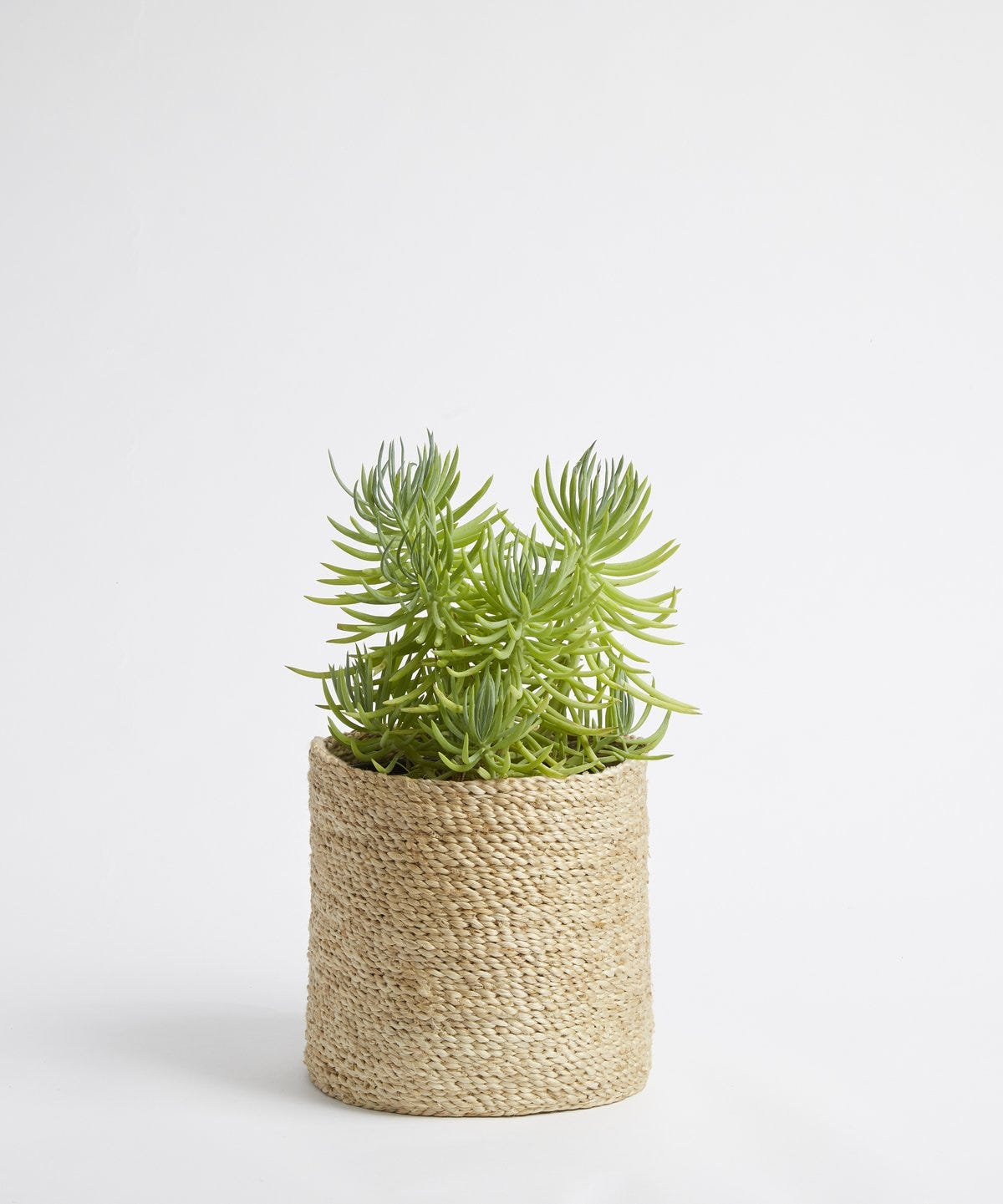 cesta de yute