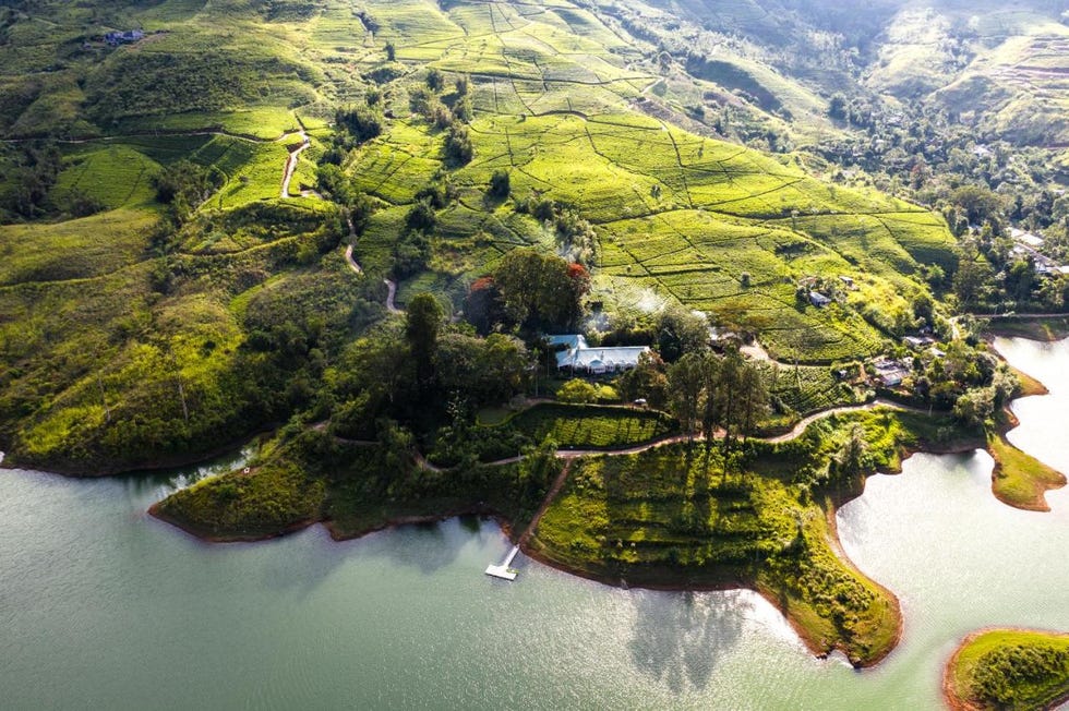amazing hotels bbc ceylon tea trails