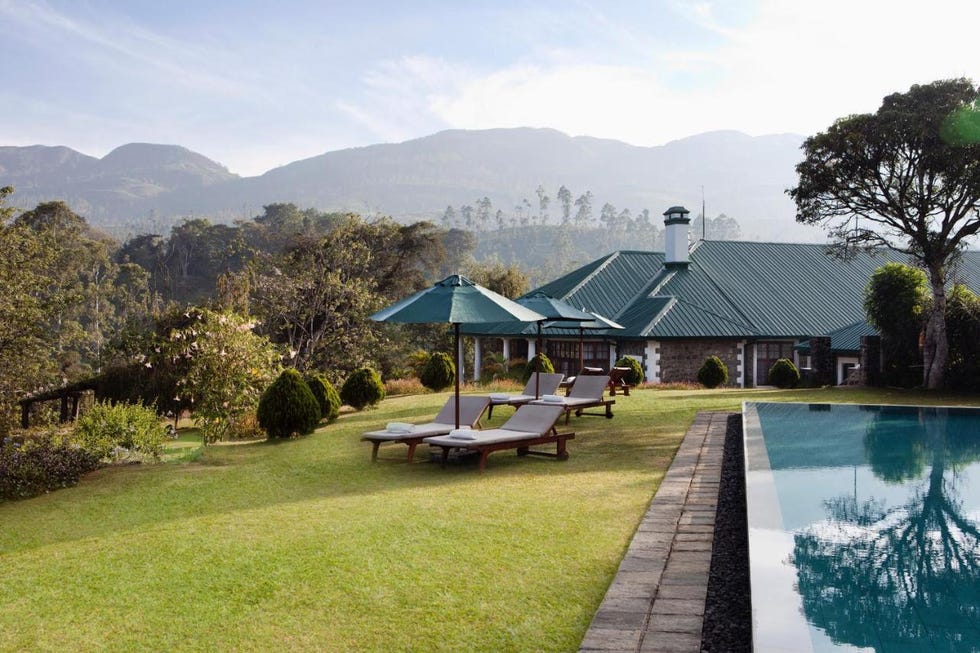 amazing hotels bbc ceylon tea trails