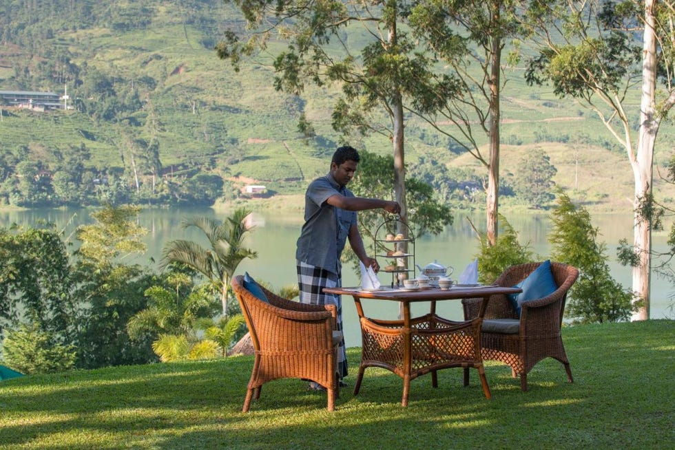 amazing hotels bbc ceylon tea trails