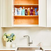 Shelf, Sink, Countertop, Room, Furniture, Property, Tap, Cabinetry, Kitchen, Wall, 